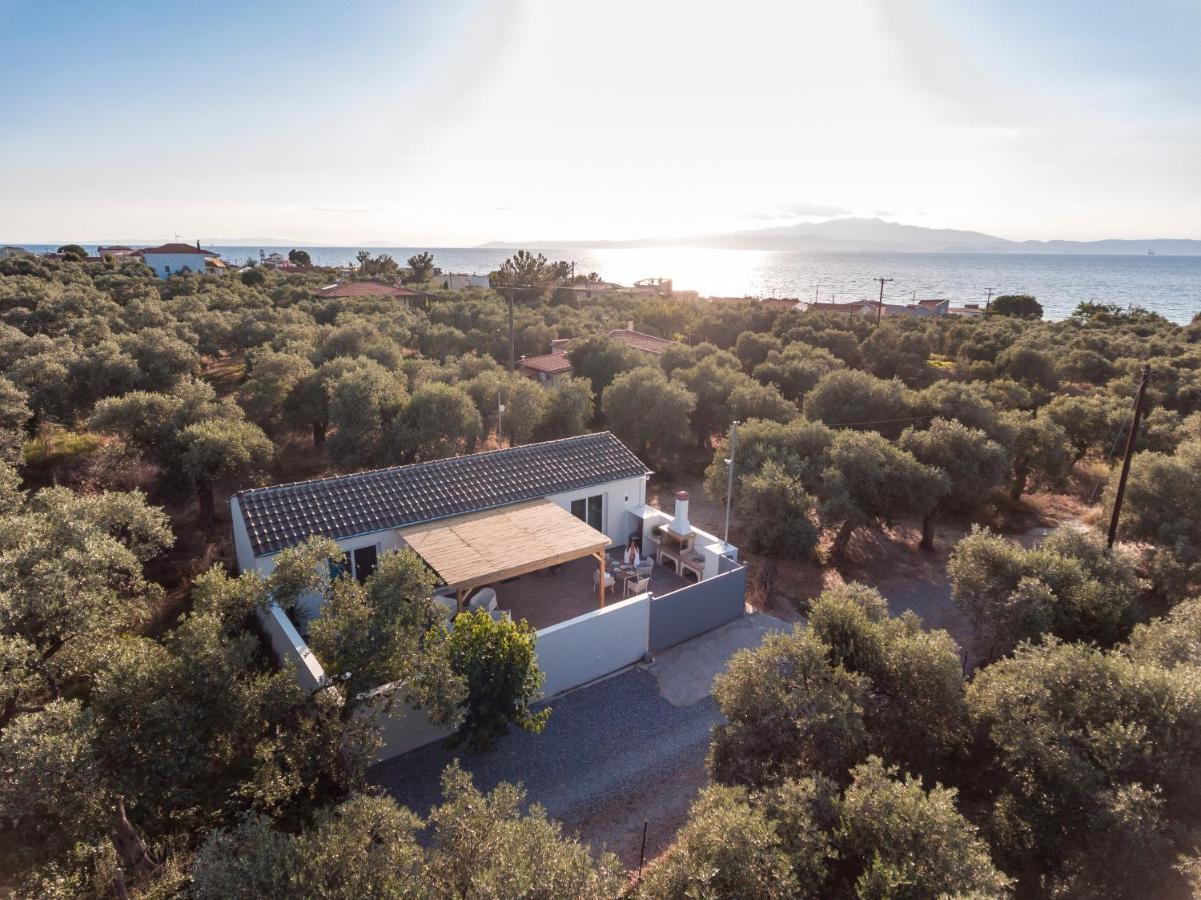 Jacuzzi Deluxe Villa Σκάλα Σωτήρος Εξωτερικό φωτογραφία